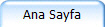 Ana Sayfa